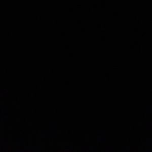 Meet your Posher, Bailey